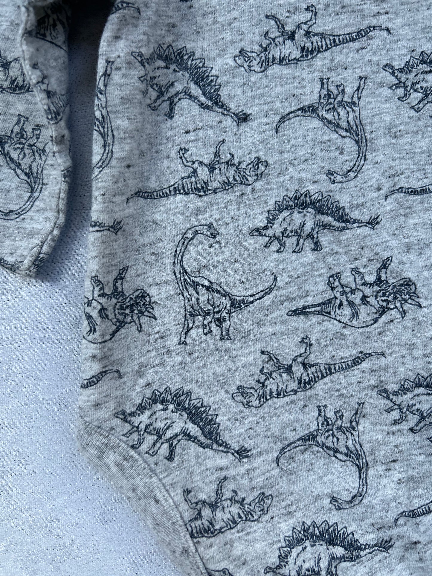 Dinosaur Long Sleeve Bodysuit