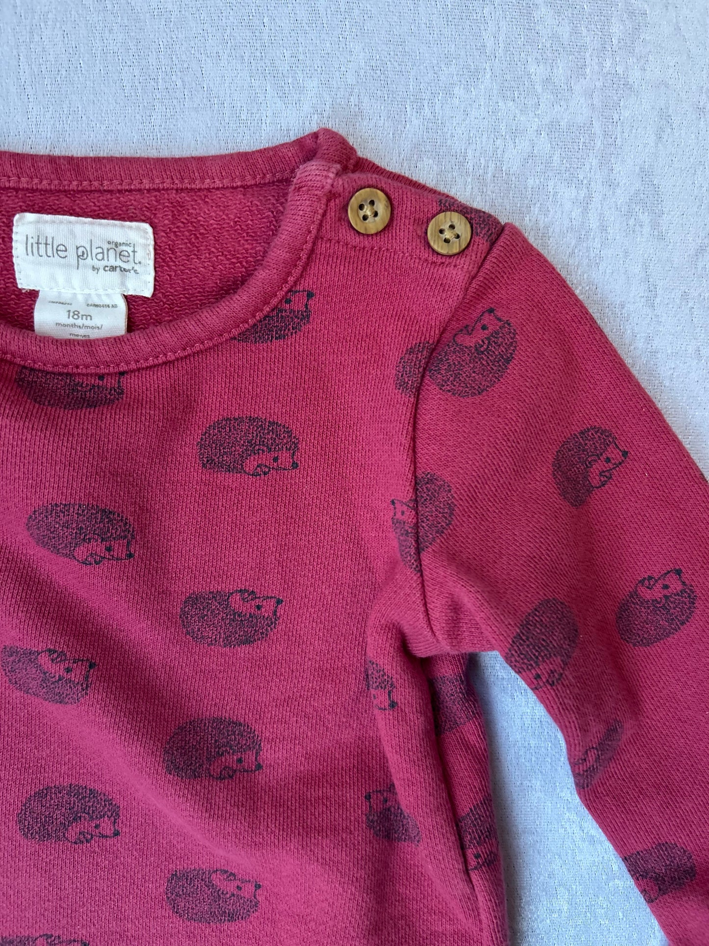 Organic Cotton Sweatshirt | Little Planet