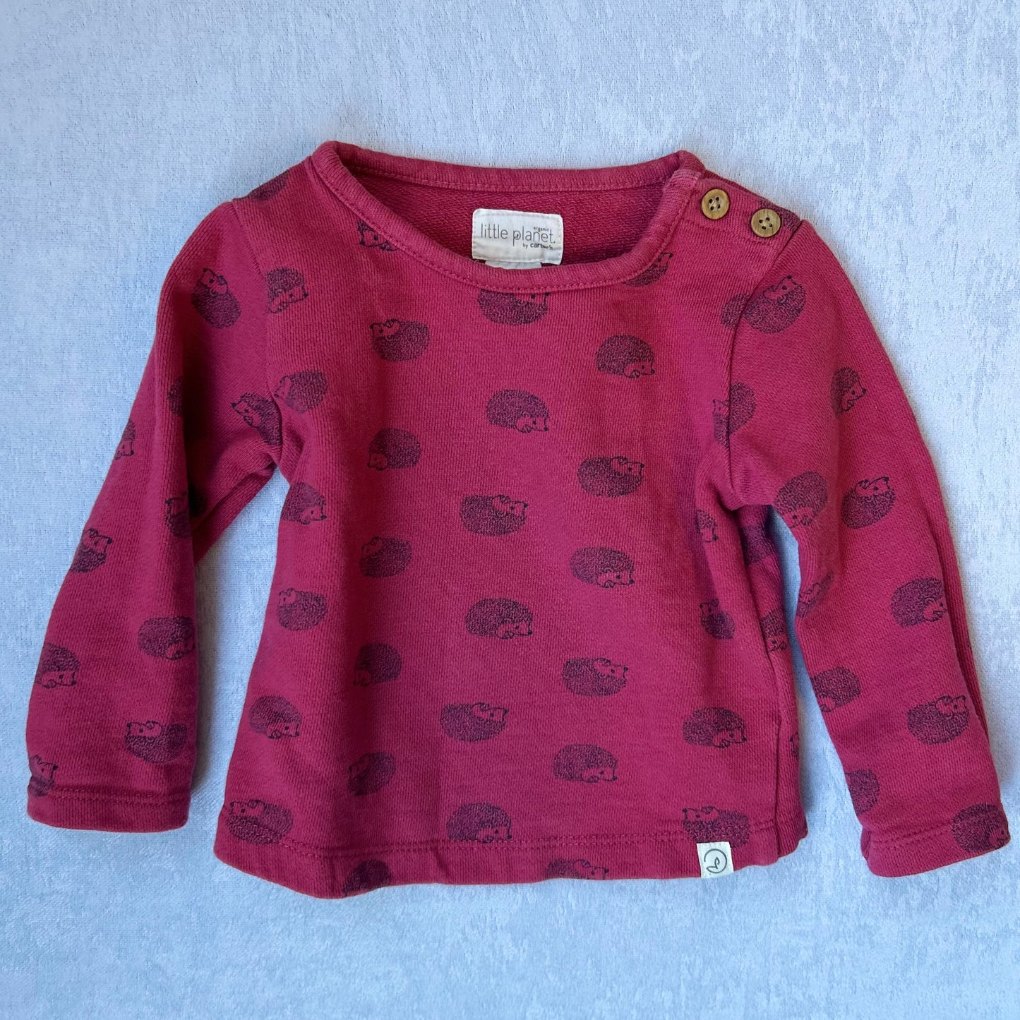 Organic Cotton Sweatshirt | Little Planet