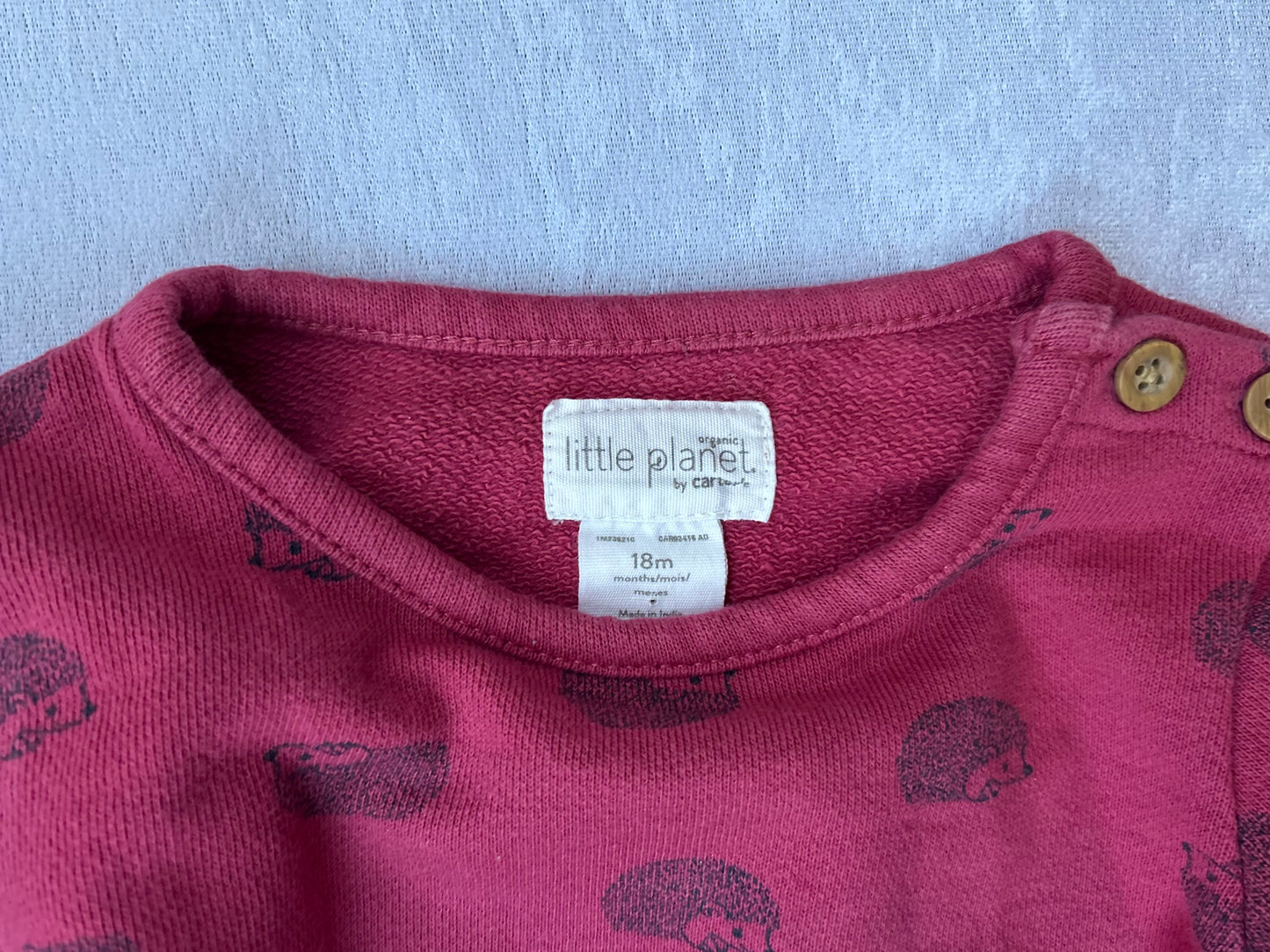 Organic Cotton Sweatshirt | Little Planet