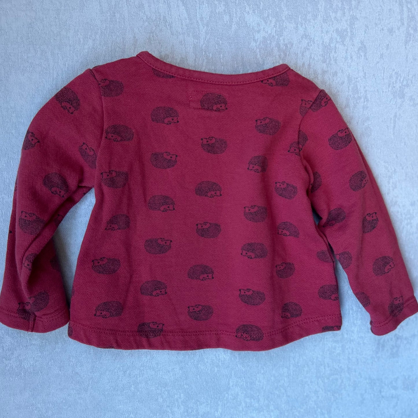 Organic Cotton Sweatshirt | Little Planet